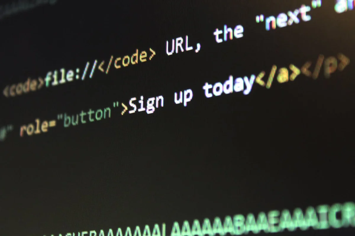 How to Host a Next.js App: Shared vs VPS vs Serverless