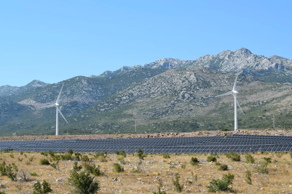 Carbon-Neutral Web Hosting: Which Providers Are Actually Green?